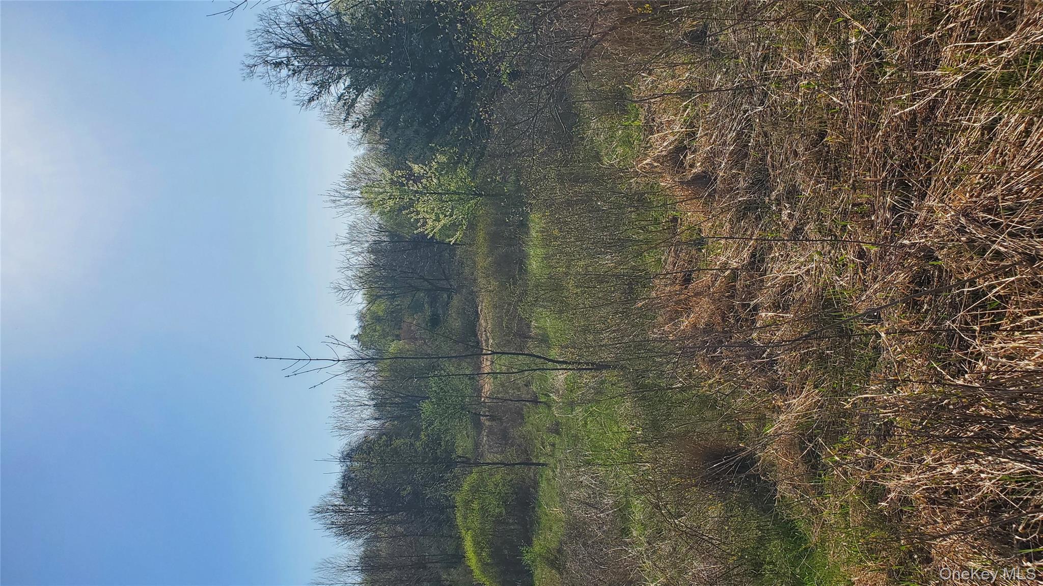 TBD Boice Mill Road, Kerhonkson, NY 12446