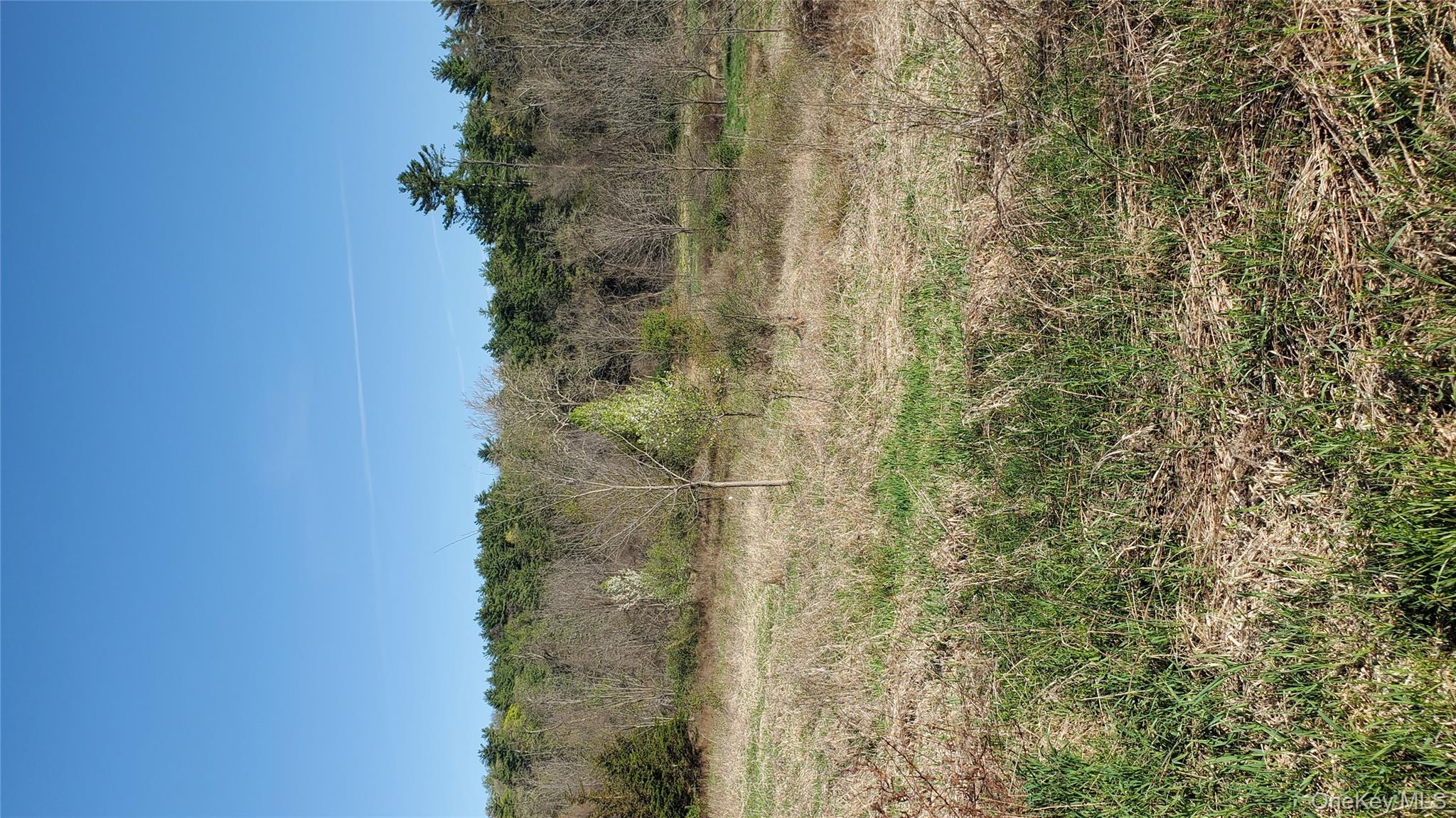 TBD Boice Mill Road, Kerhonkson, NY 12446