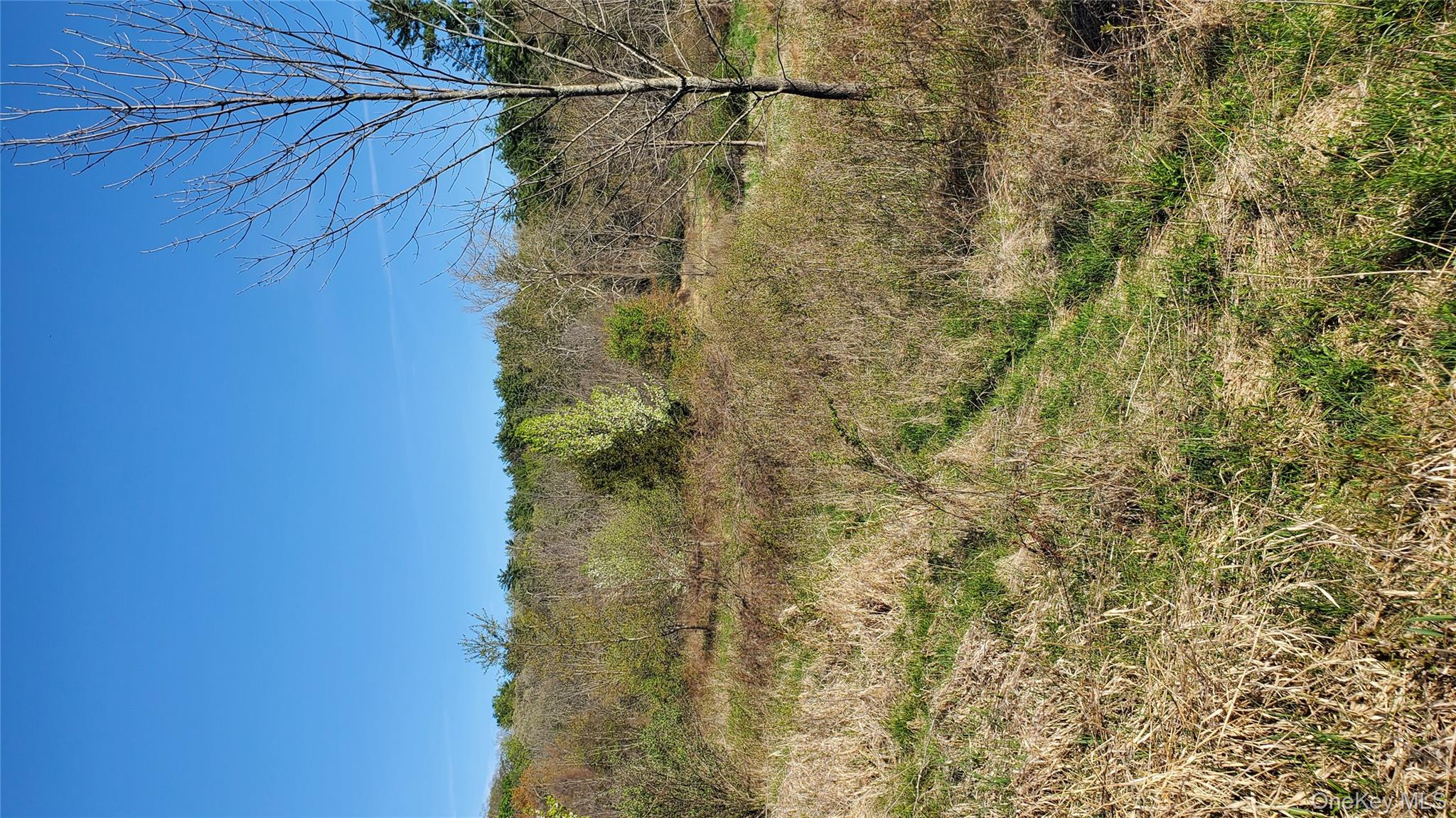 TBD Boice Mill Road, Kerhonkson, NY 12446