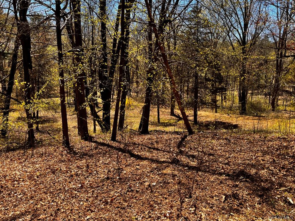 TBD Cold Spring Road, Clinton Corners, NY 12514