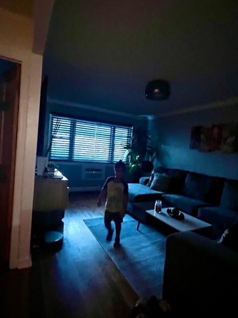 3231 Grace Avenue, Bronx, NY 10469