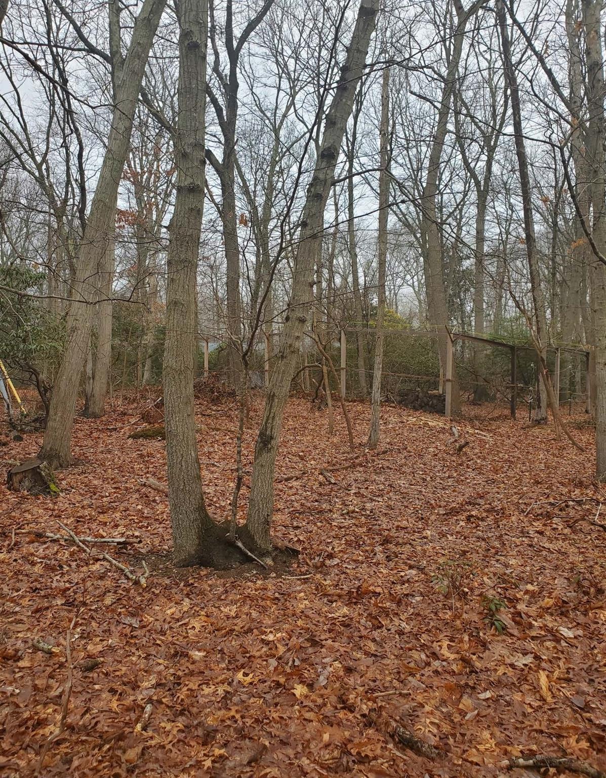 8 Steep Bank Road, Saint James, NY 11780