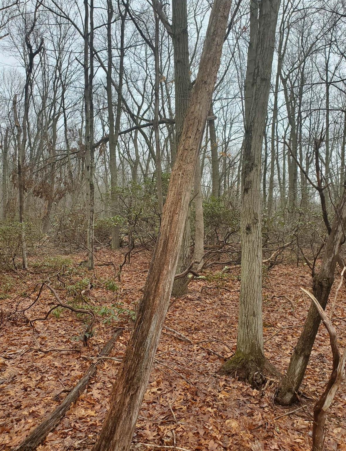 8 Steep Bank Road, Saint James, NY 11780