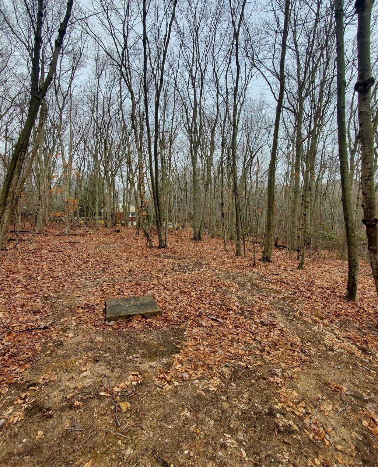 260 Old Mill Road, Saint James, NY 11780