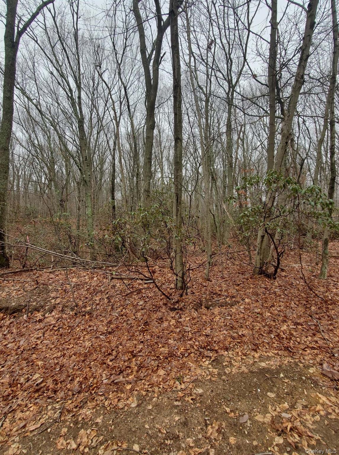 260 Old Mill Road, Saint James, NY 11780