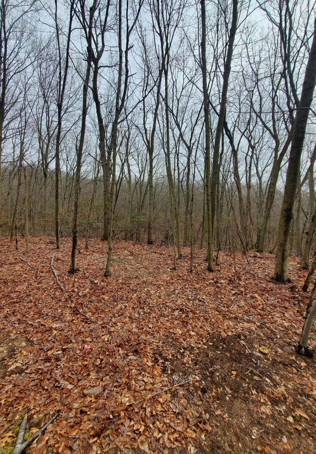 260 Old Mill Road, Saint James, NY 11780