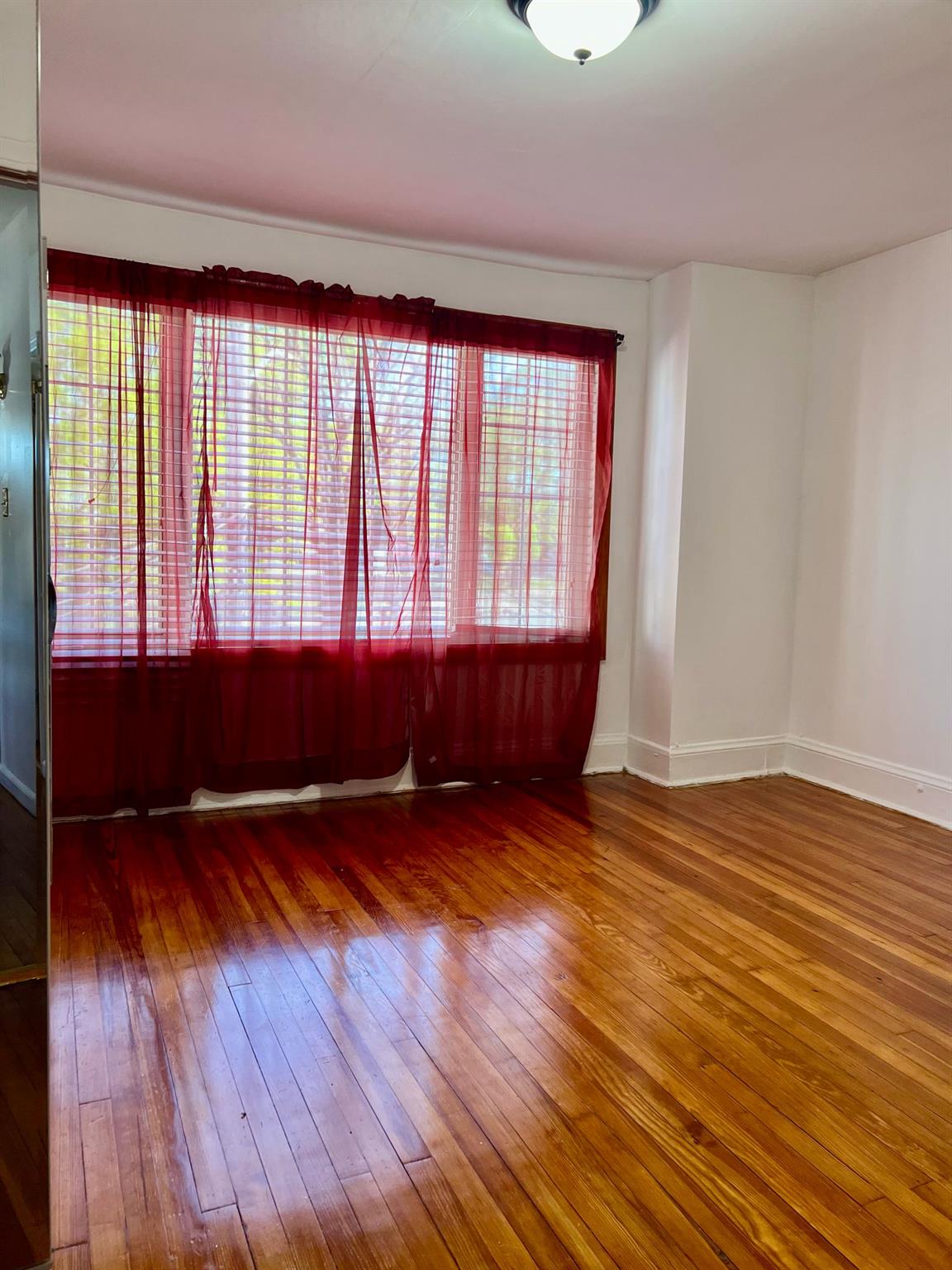 15207 125th Avenue, Jamaica, NY 11434