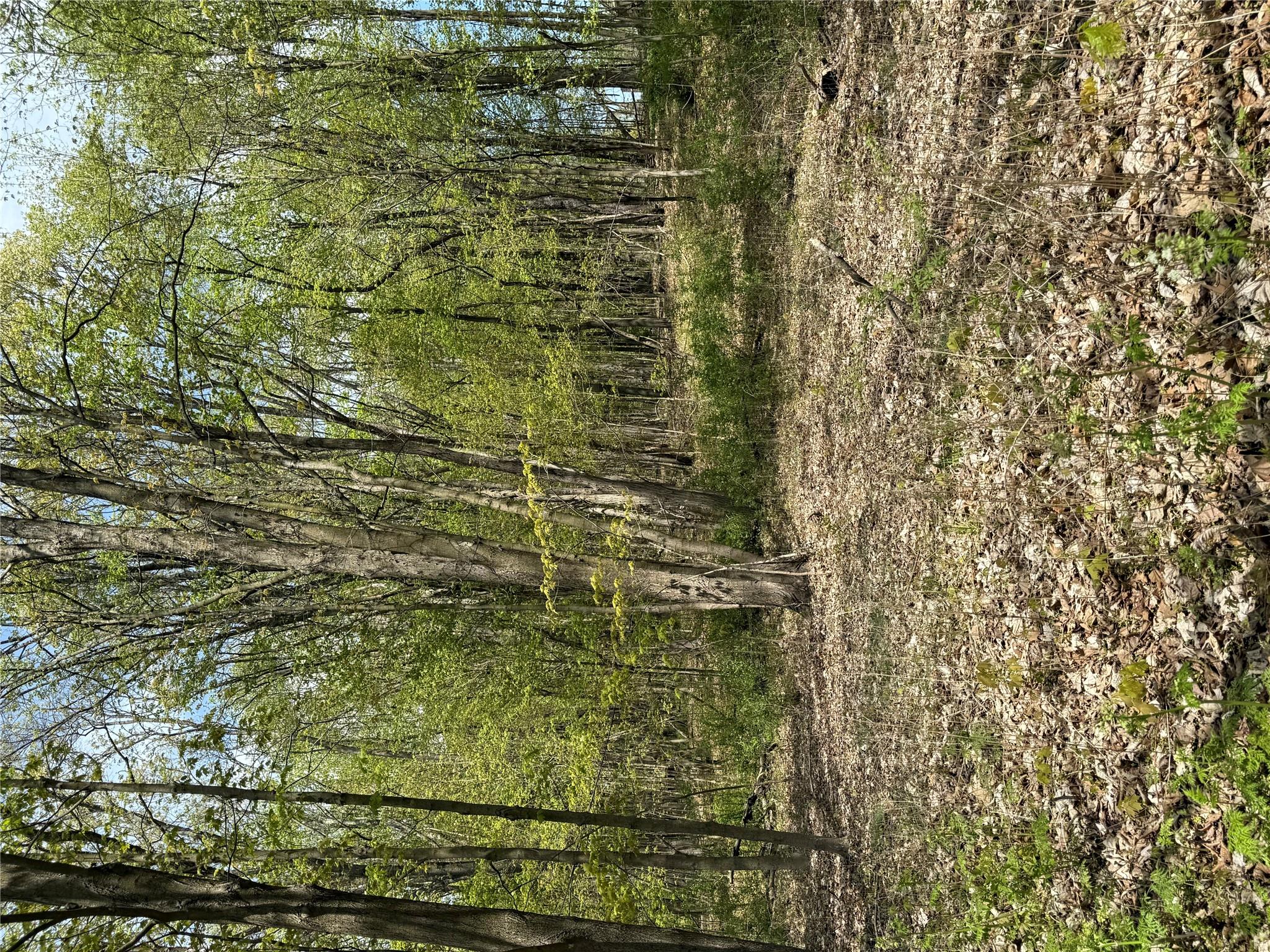 120 Floyd Ackert Road, Esopus, NY 12493