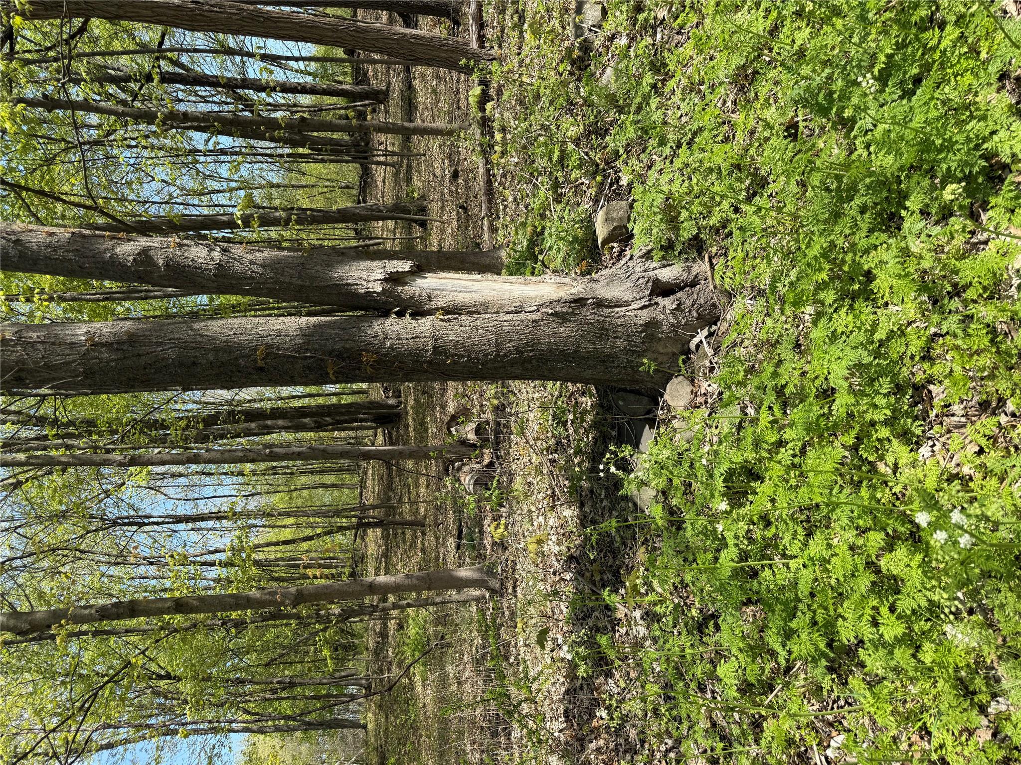 120 Floyd Ackert Road, Esopus, NY 12493