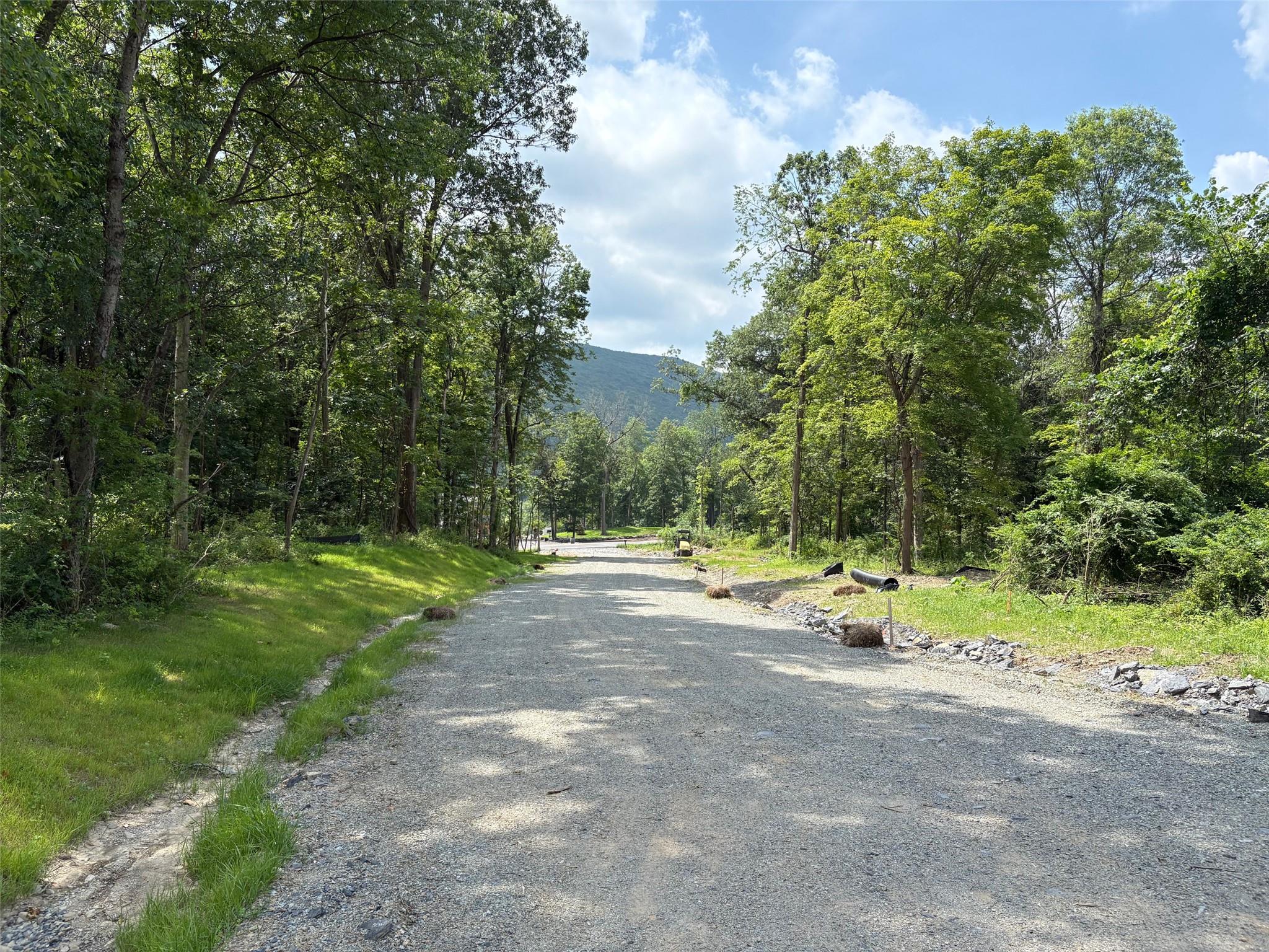 4 Rosewood, Salisbury Mills, NY 12553