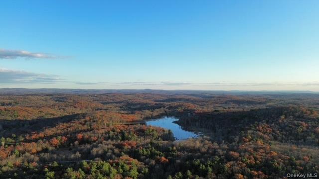 78 Schultz Hill Road, Rhinebeck, NY 12580