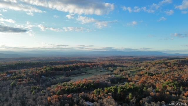 78 Schultz Hill Road, Rhinebeck, NY 12580