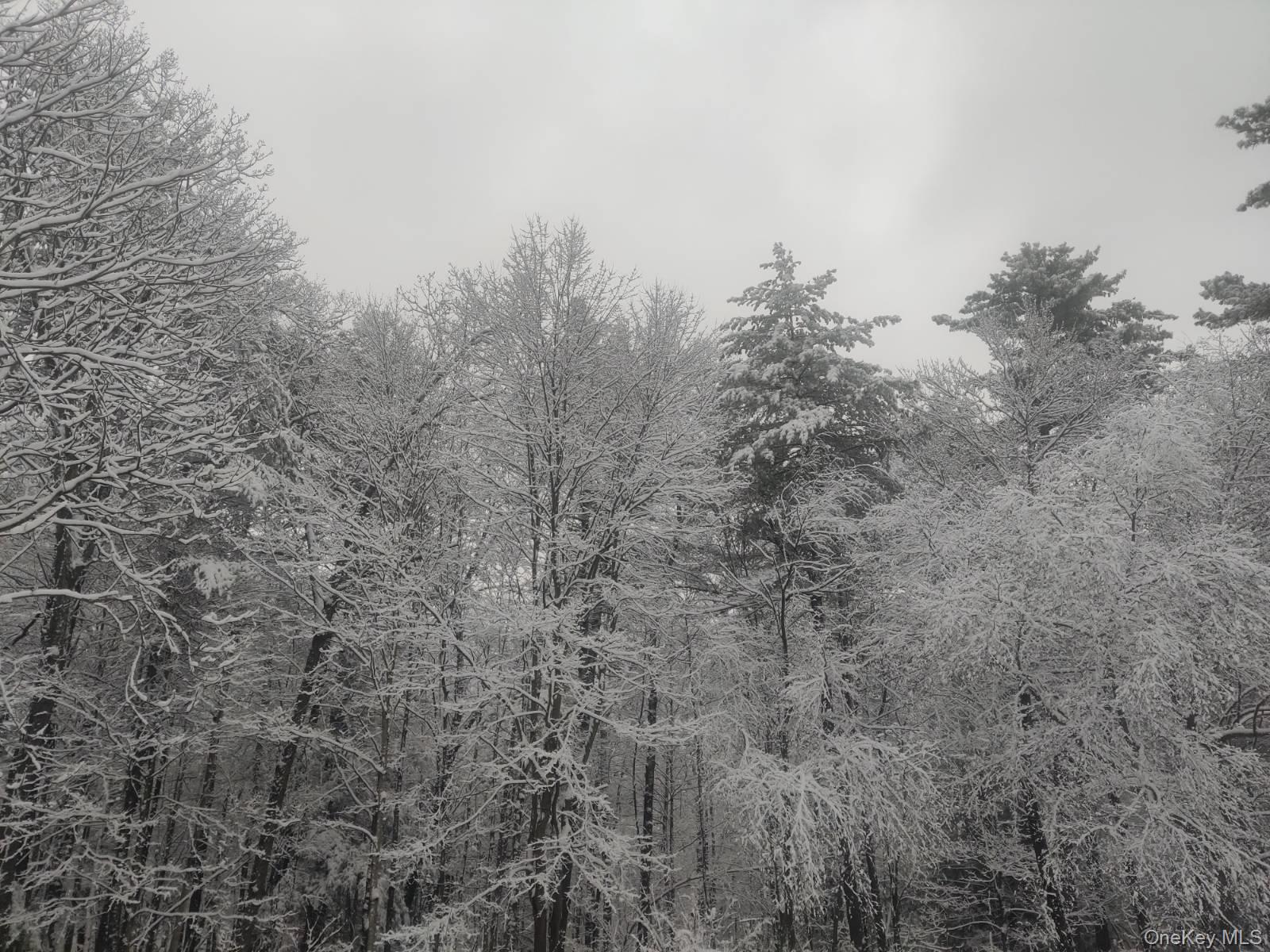 78 Schultz Hill Road, Rhinebeck, NY 12580