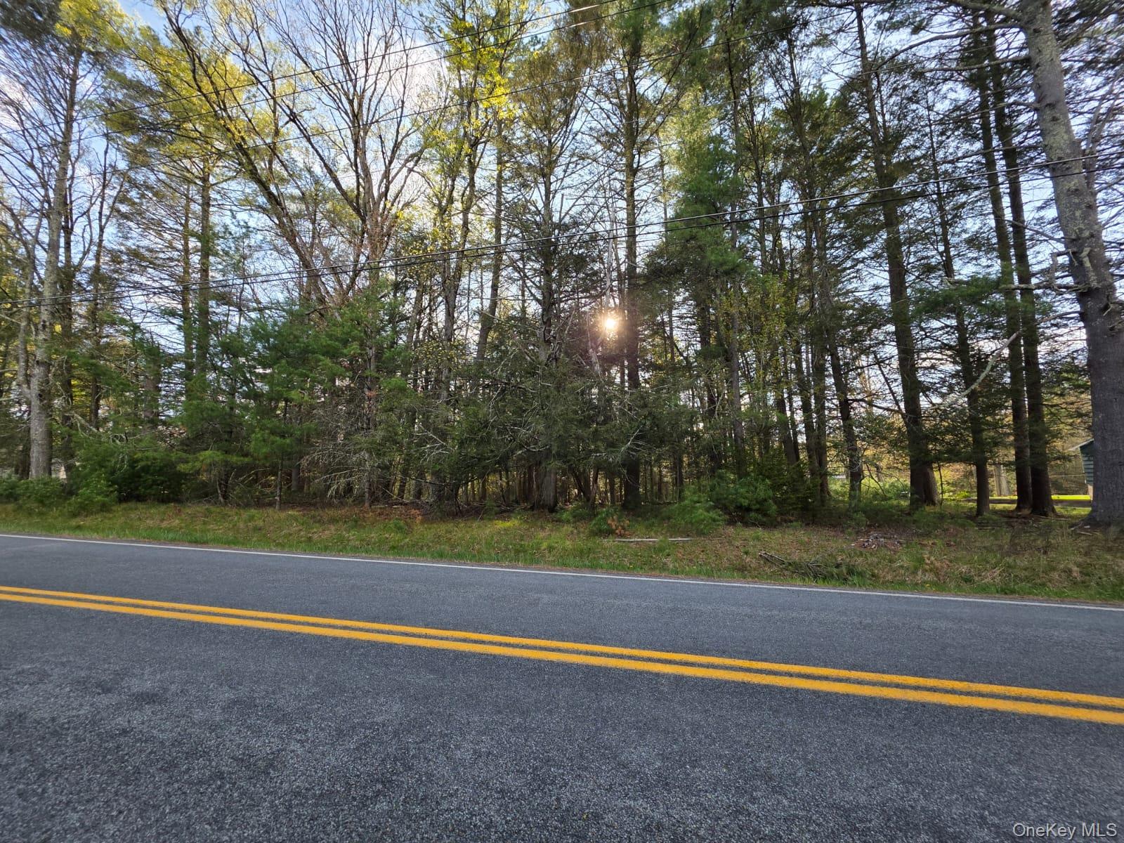 Yulan-Barryville Road, Barryville, NY 12719