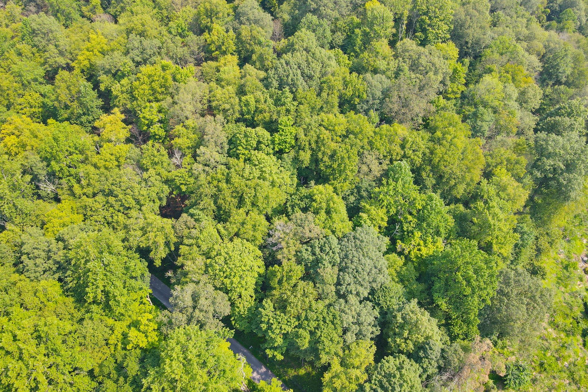 34 Gordon Road, Carmel, NY