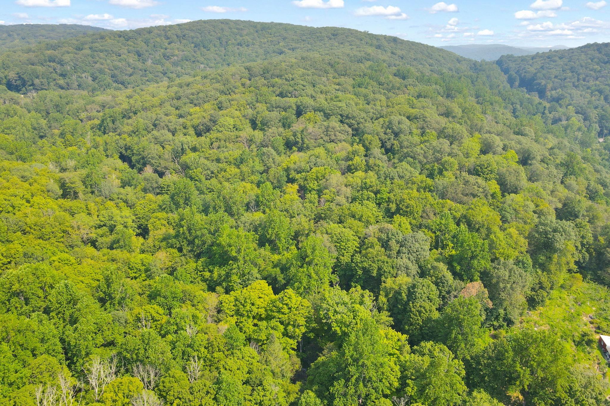 34 Gordon Road, Carmel, NY