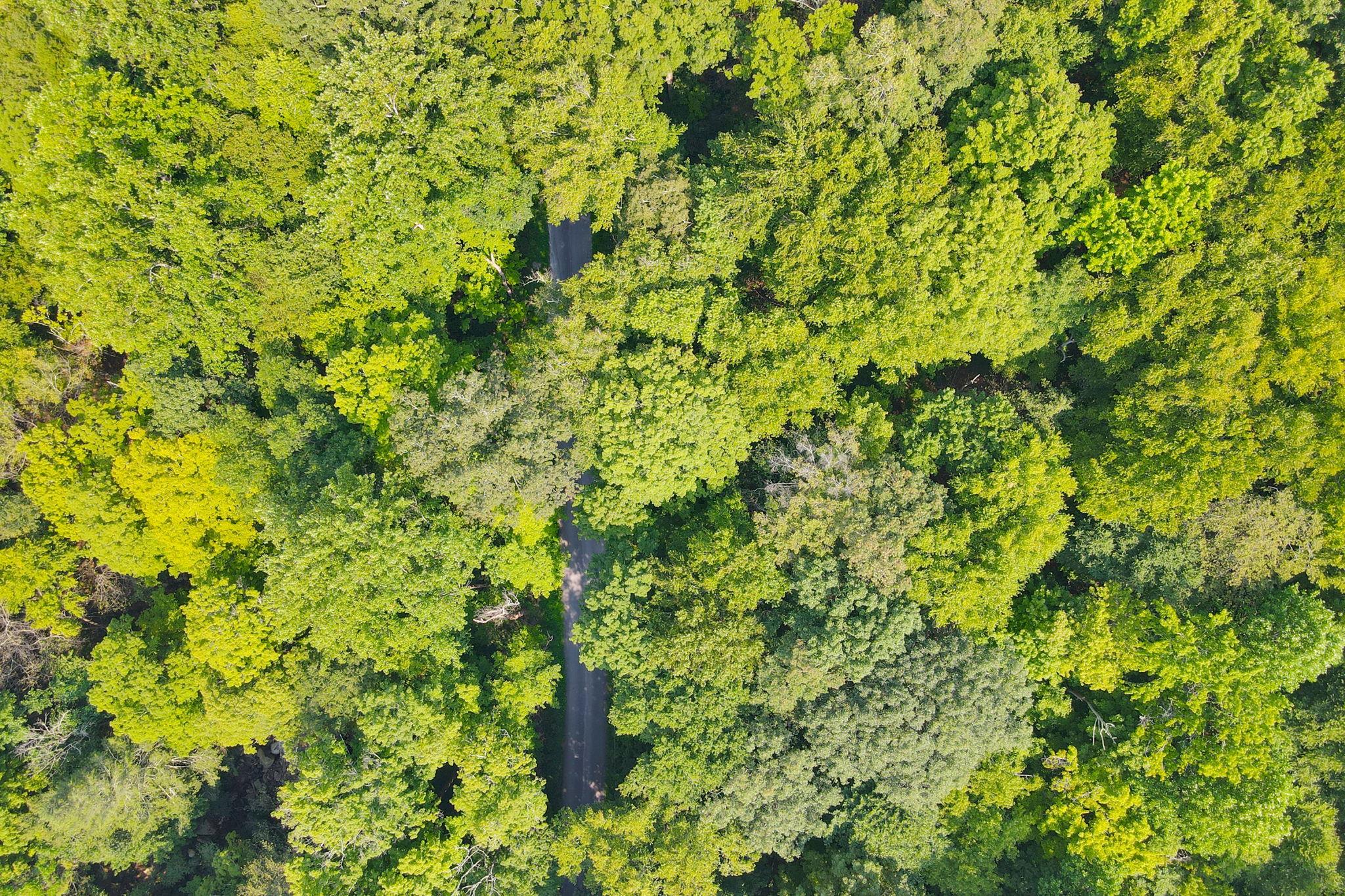 34 Gordon Road, Carmel, NY