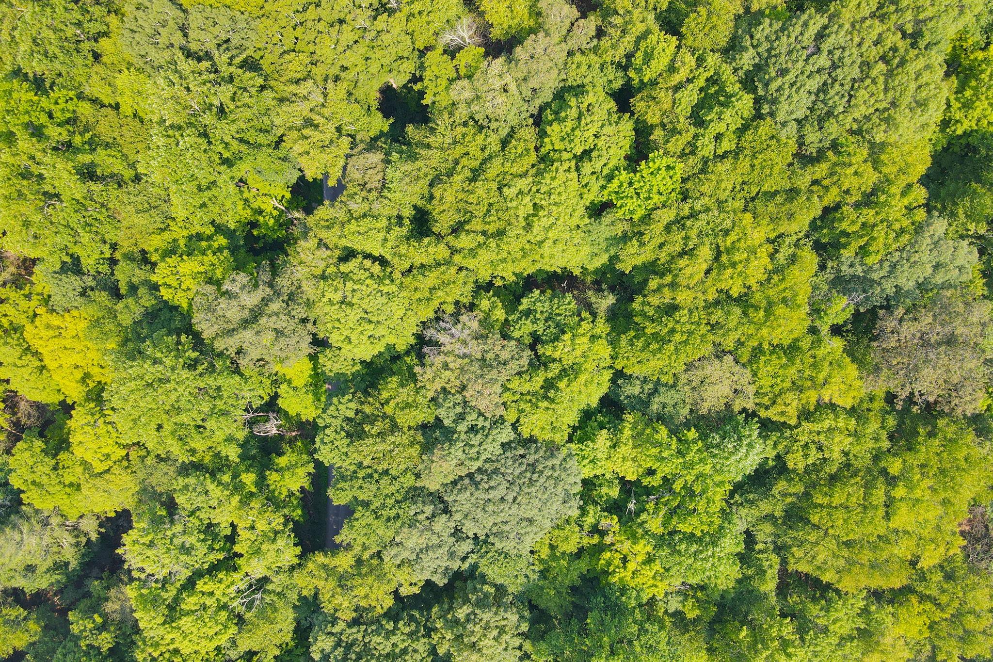 34 Gordon Road, Carmel, NY