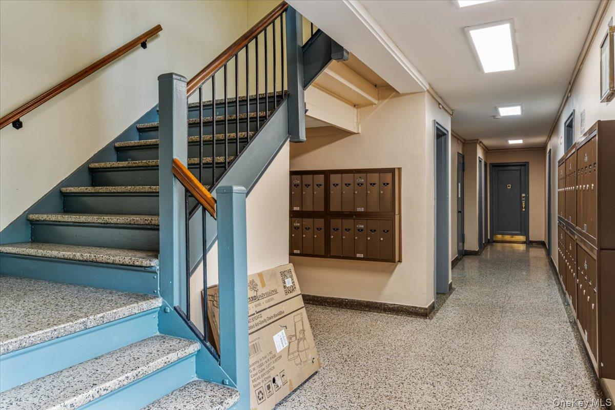 62-15 53rd Avenue # LGD, Maspeth, NY 11378