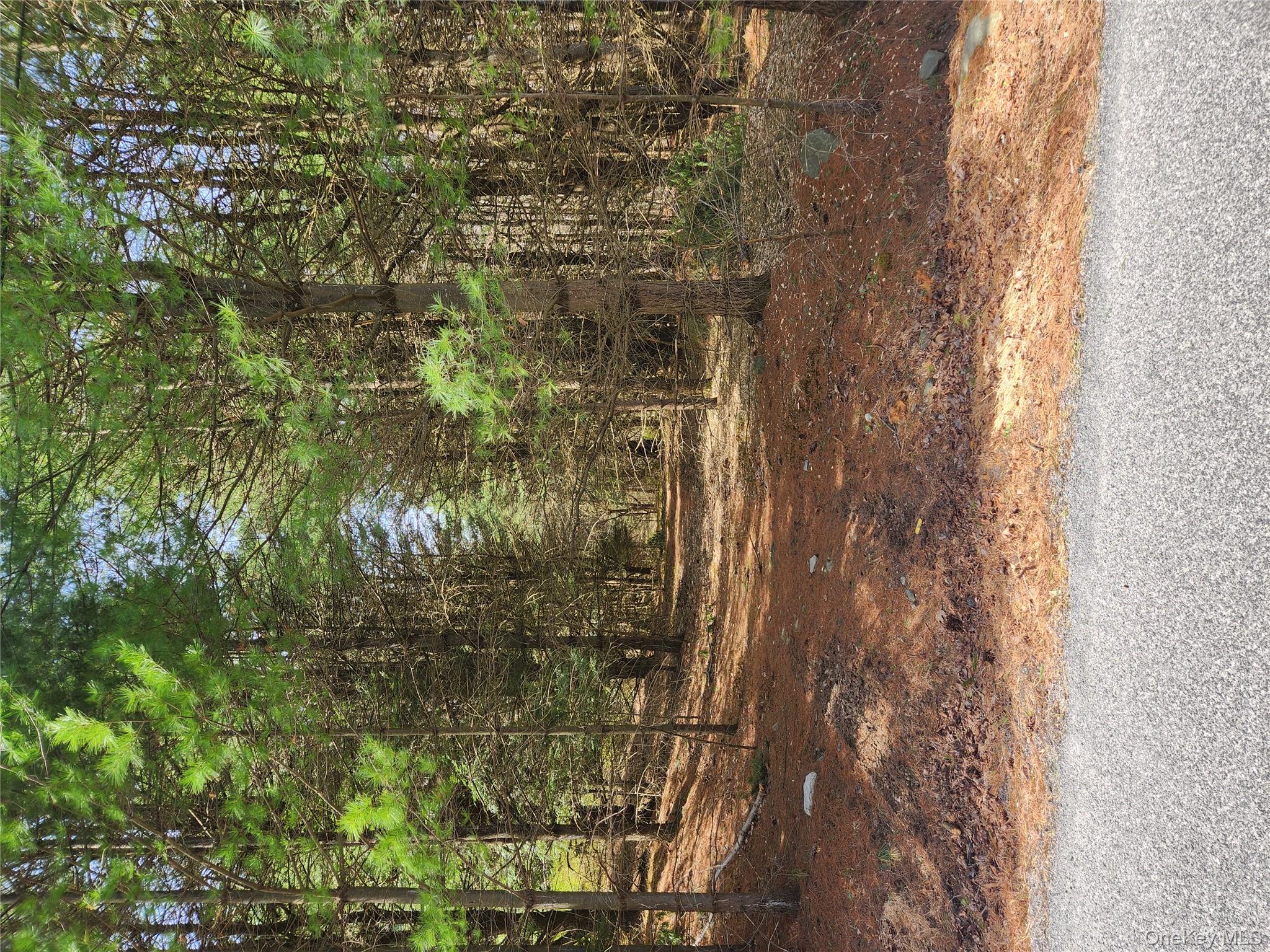 lot 45 4th Circle, Rock Hill, NY 12775