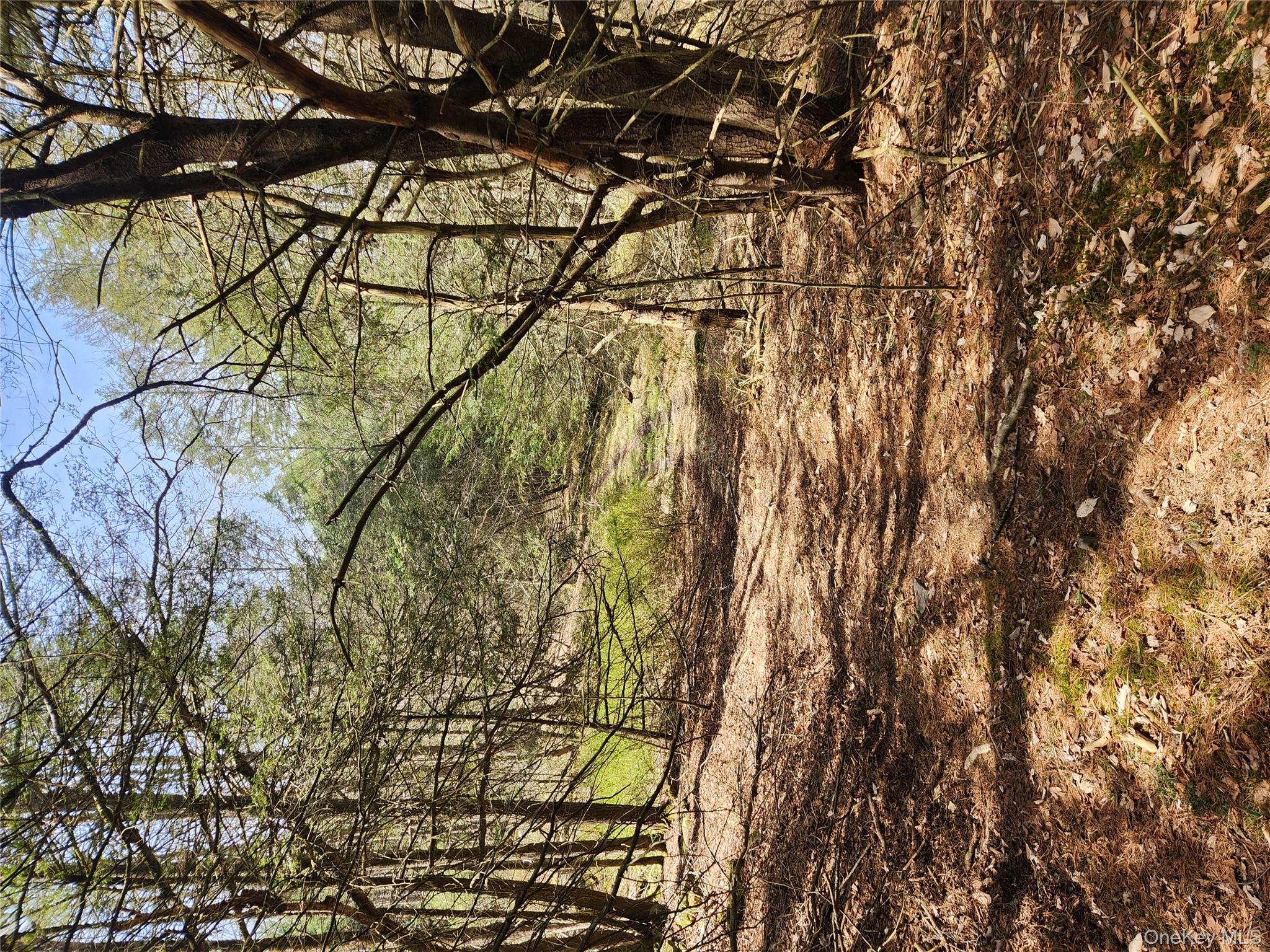 lot 45 4th Circle, Rock Hill, NY 12775