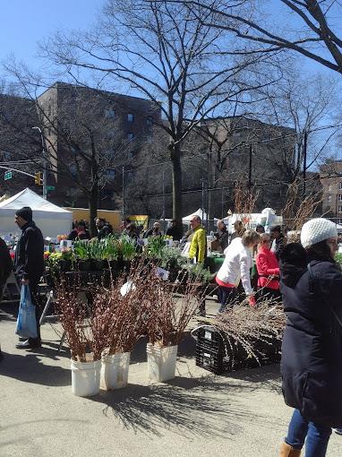 34-20 79th Street # 1i, Jackson Heights, NY 11372