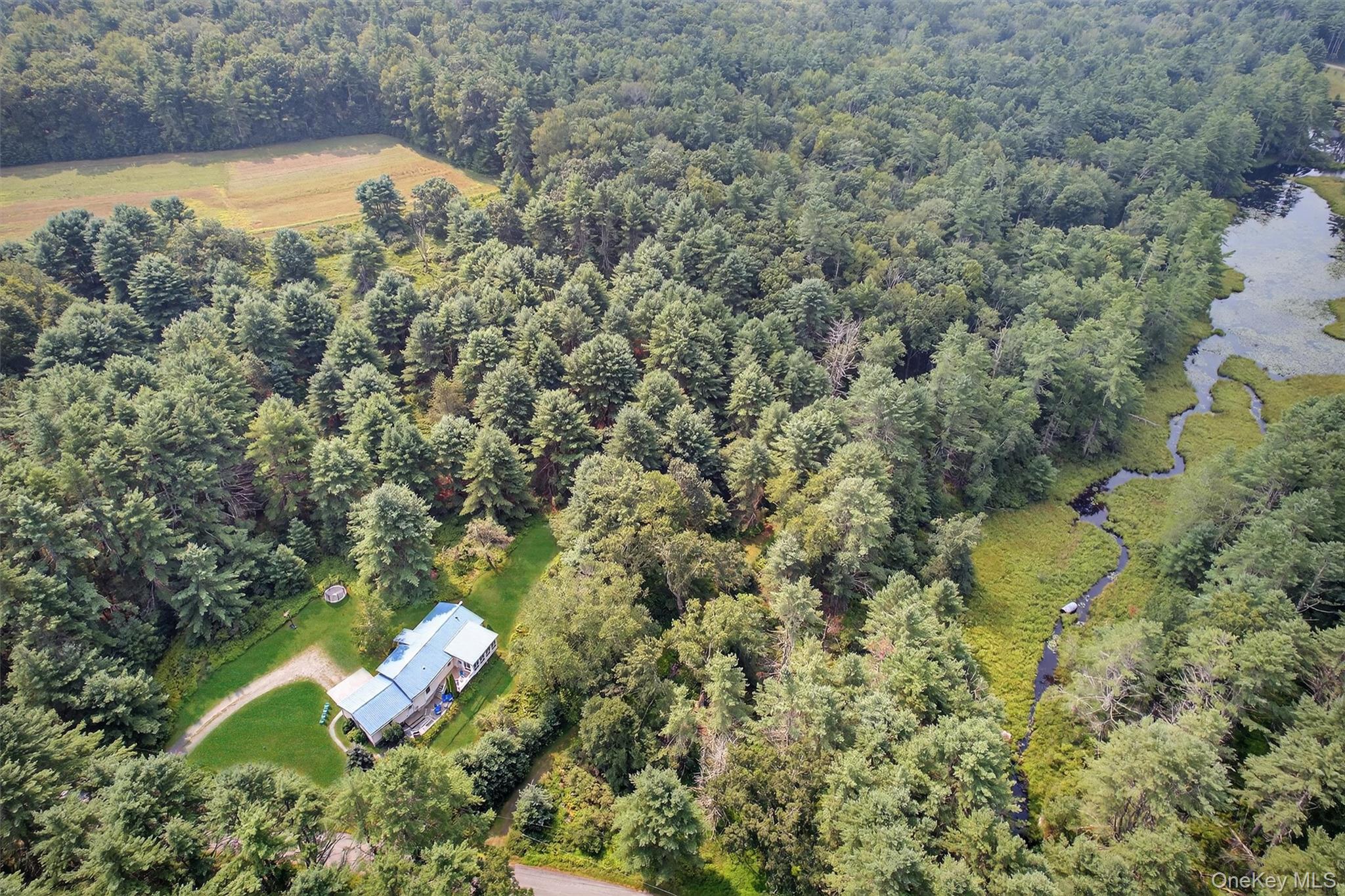 668 Cochecton Turnpike, Narrowsburg, NY 12764