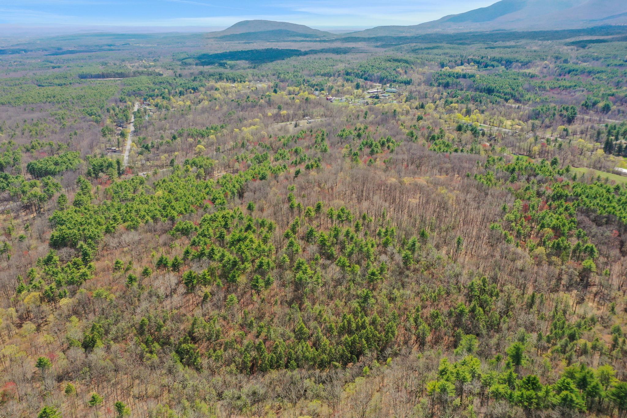 00 Roosevelt Avenue, Cairo, NY
