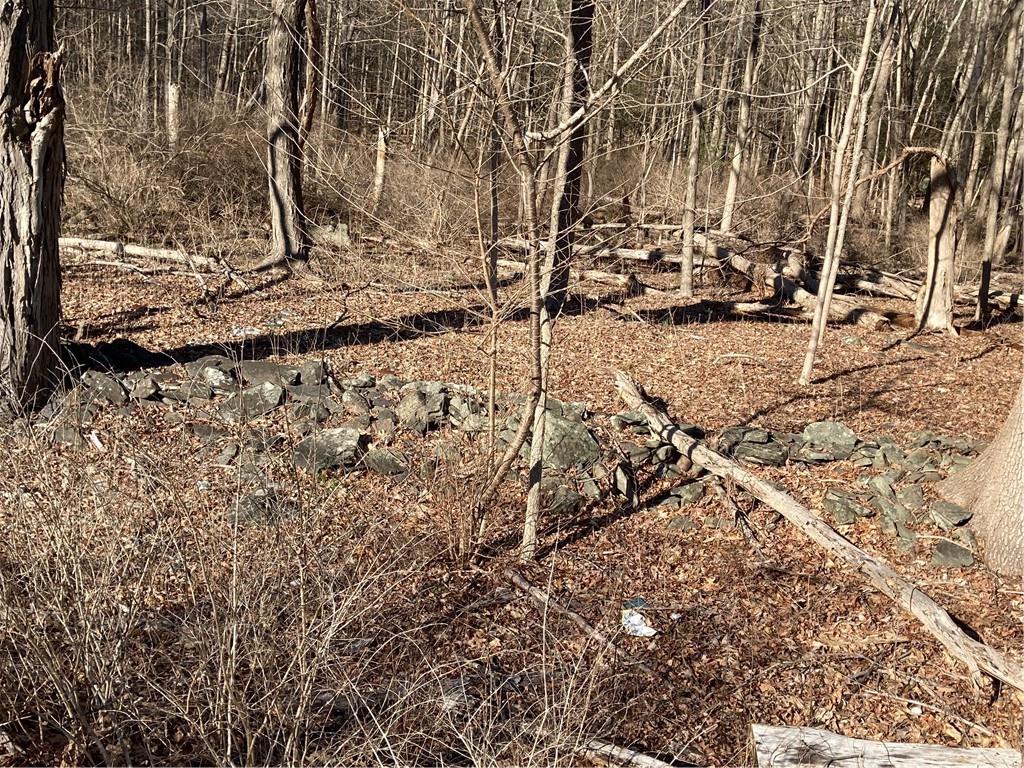 Route 212, Saugerties, NY 12477