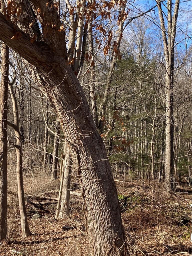 Route 212, Saugerties, NY 12477