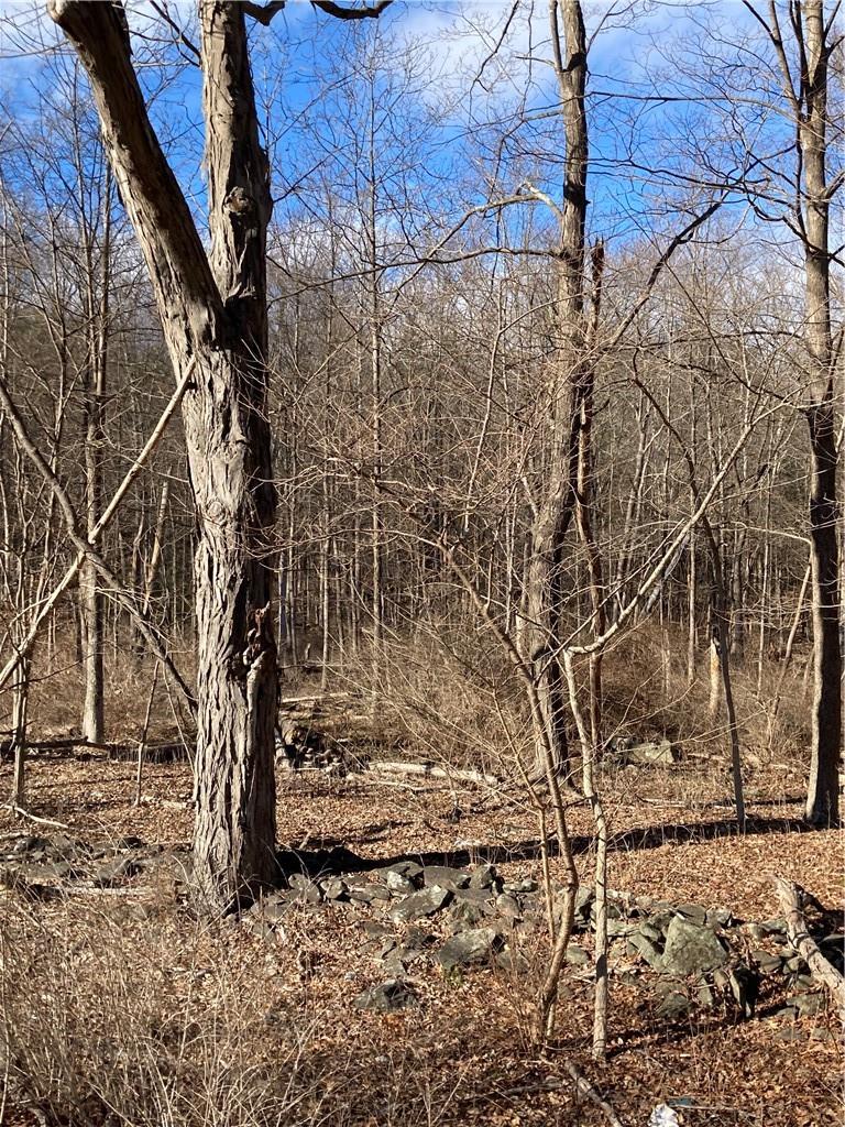 Route 212, Saugerties, NY 12477