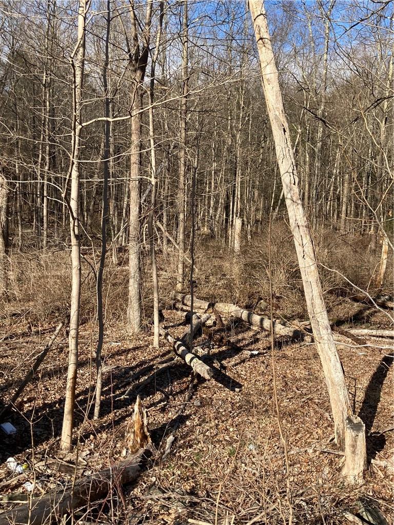 Route 212, Saugerties, NY 12477