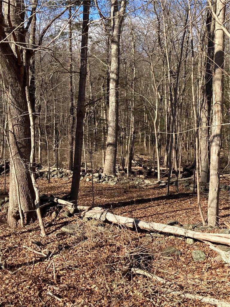 Route 212, Saugerties, NY 12477