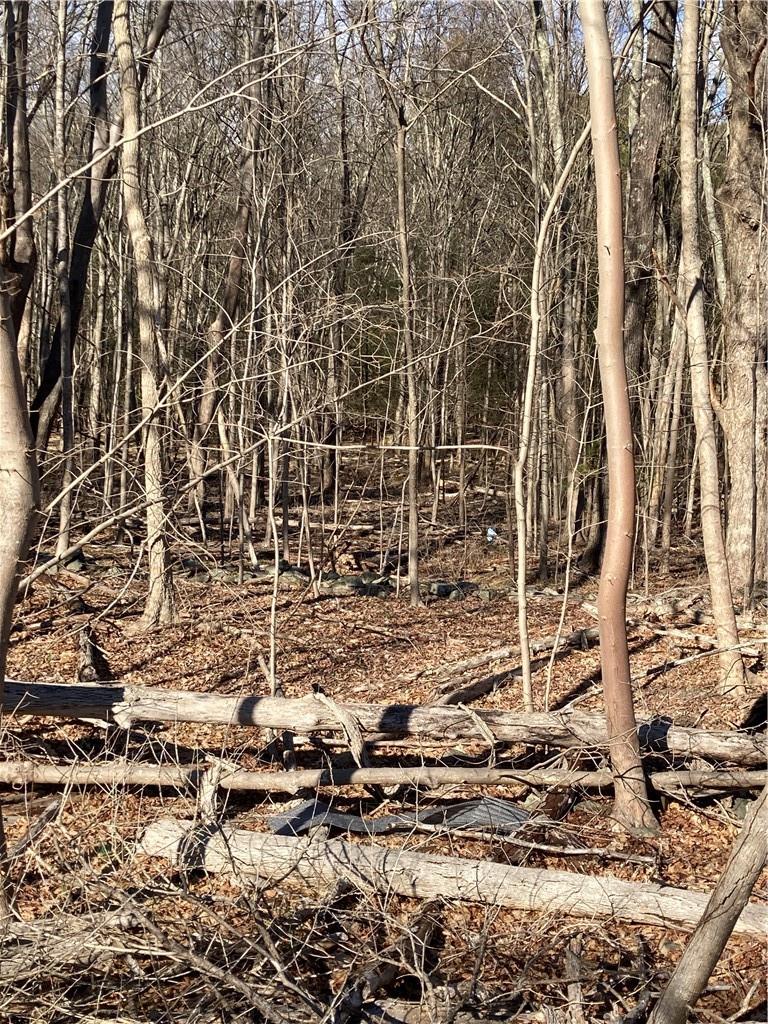 Route 212, Saugerties, NY 12477