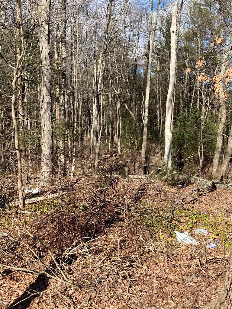 Route 212, Saugerties, NY 12477