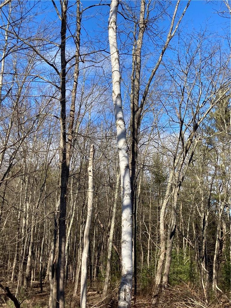 Route 212, Saugerties, NY 12477