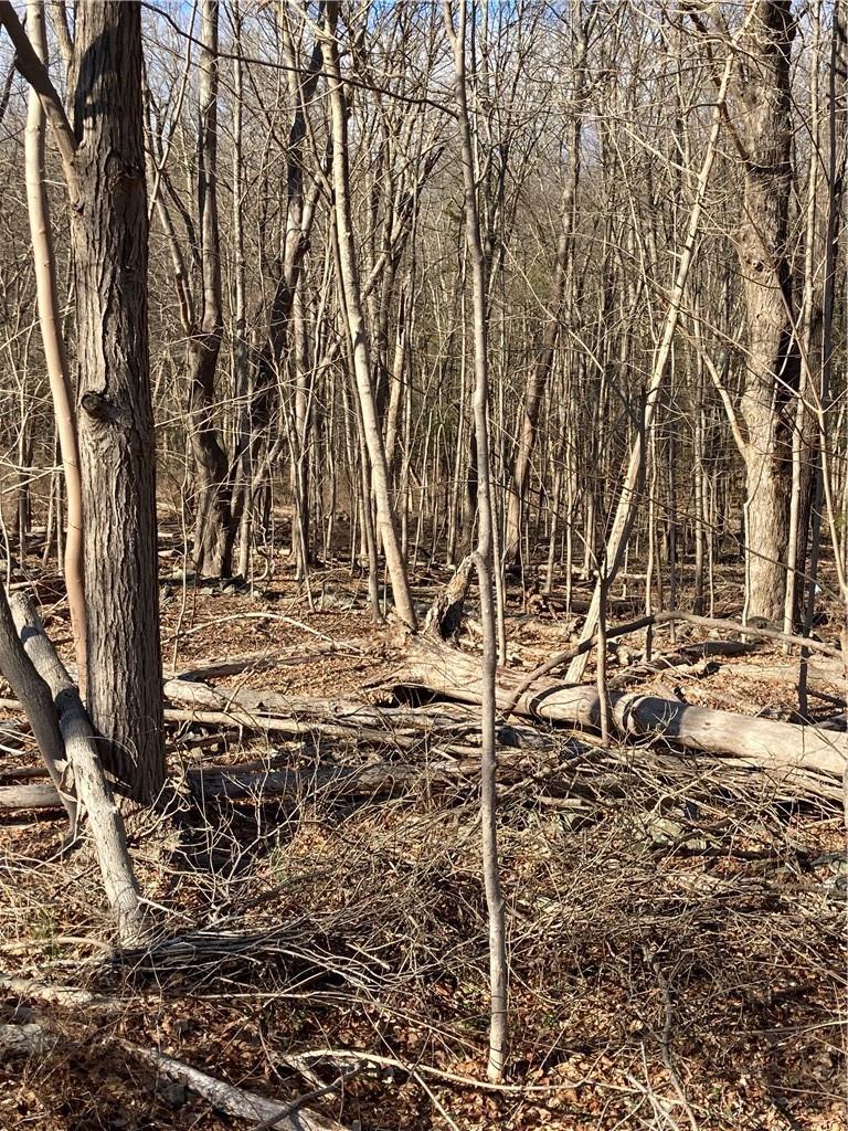 Route 212, Saugerties, NY 12477