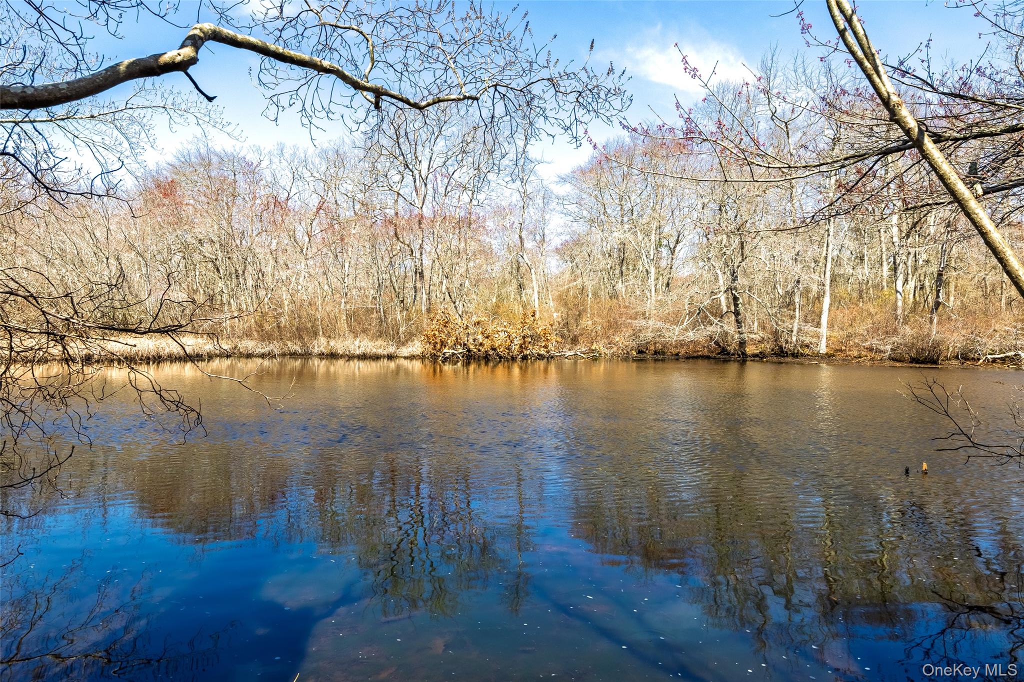 371 S River Road, Calverton, NY 11933