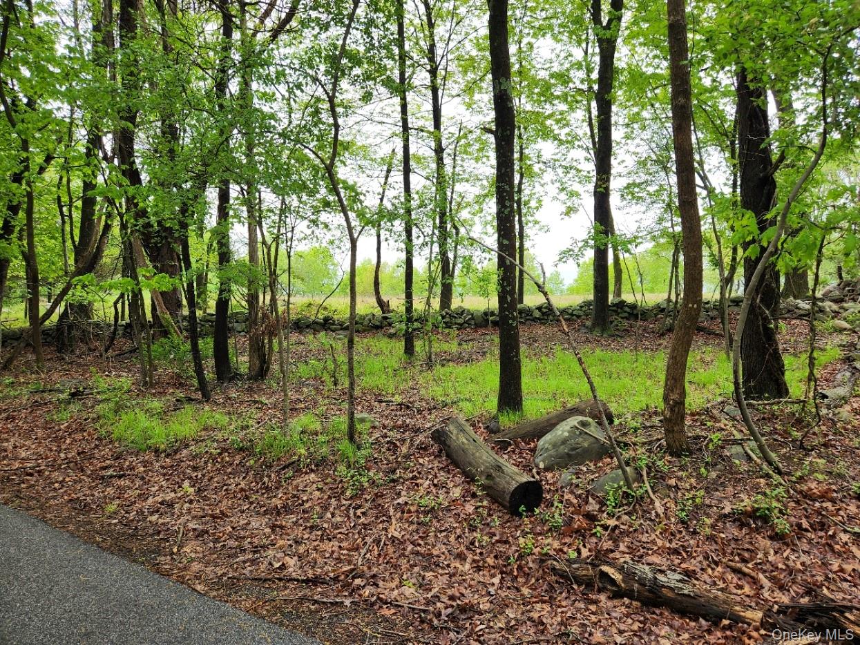 Odyssey Drive, Chester, NY 10918