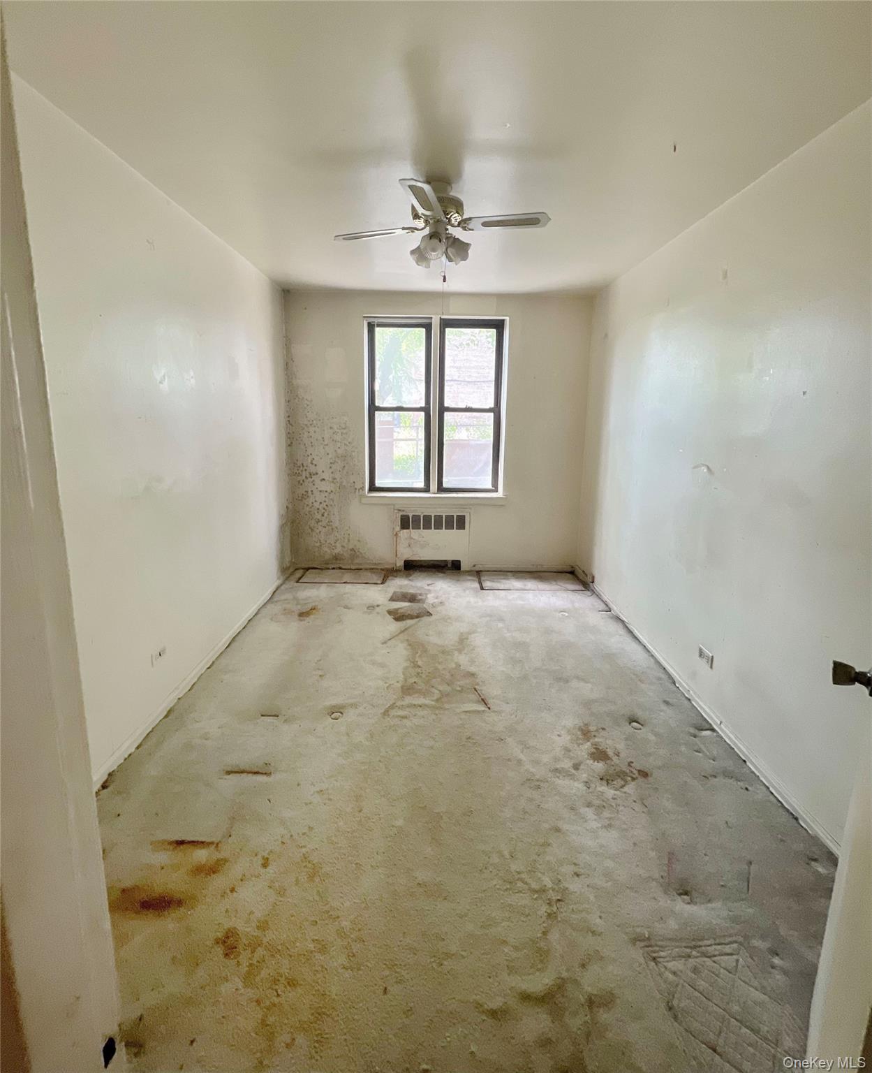 745 E 231 Street # 1F, Bronx, NY 10466