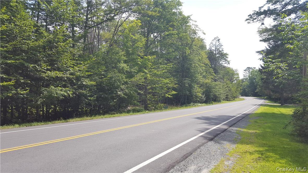 State Route 42, Grahamsville, NY 12765