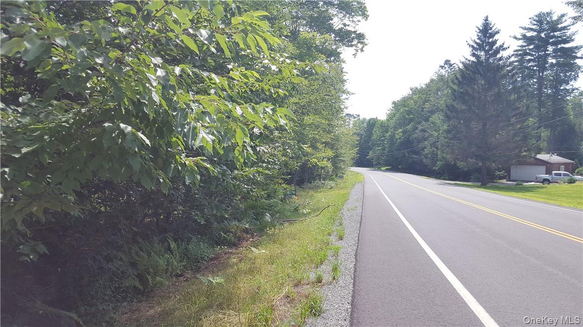 State Route 42, Grahamsville, NY 12765