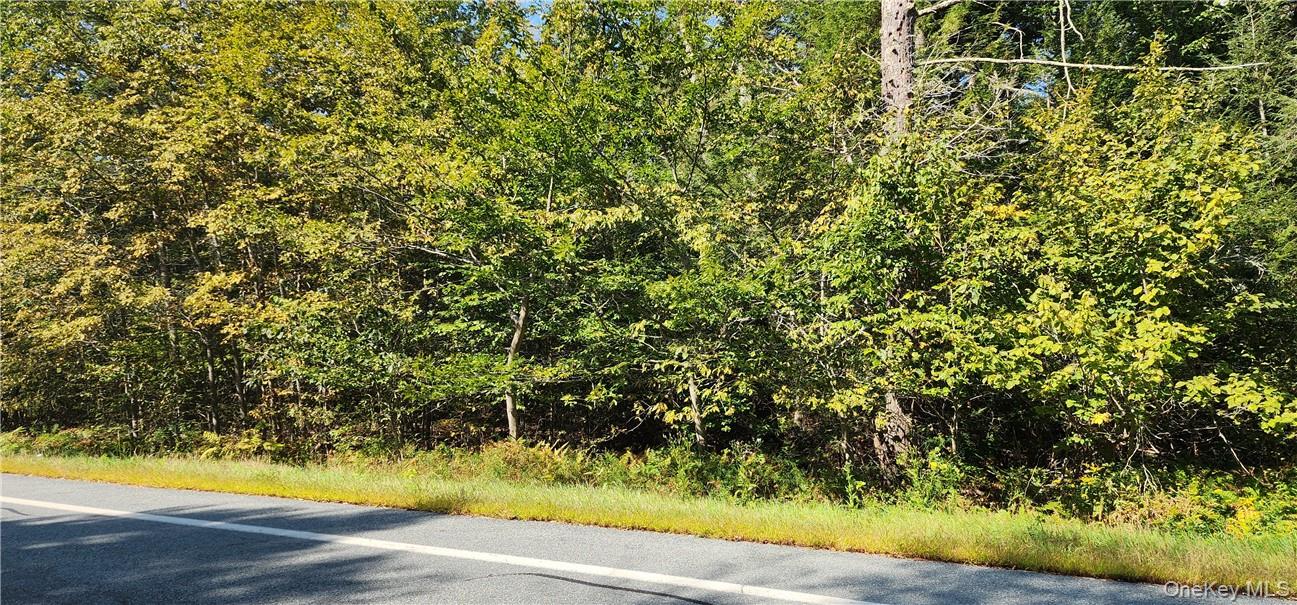 State Route 42, Grahamsville, NY 12765