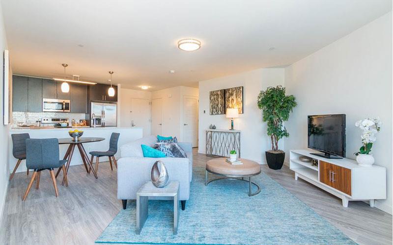 1 Dekalb Avenue # 309, White Plains, NY 10605