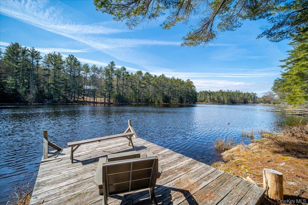 62 Stag Forest Road, Forestburgh, NY 12777