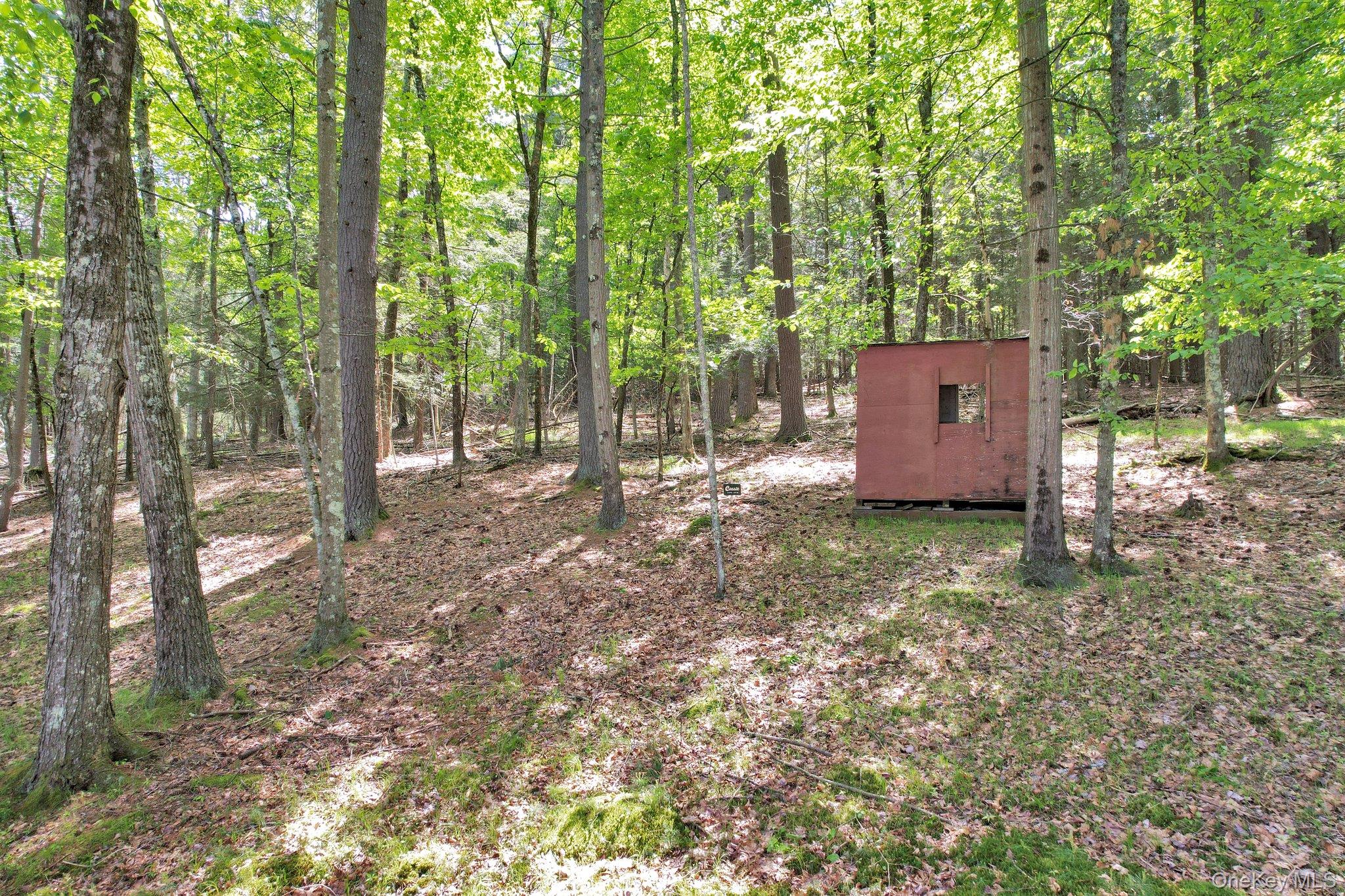 229 Eldred Yulan Road, Yulan, NY 12792