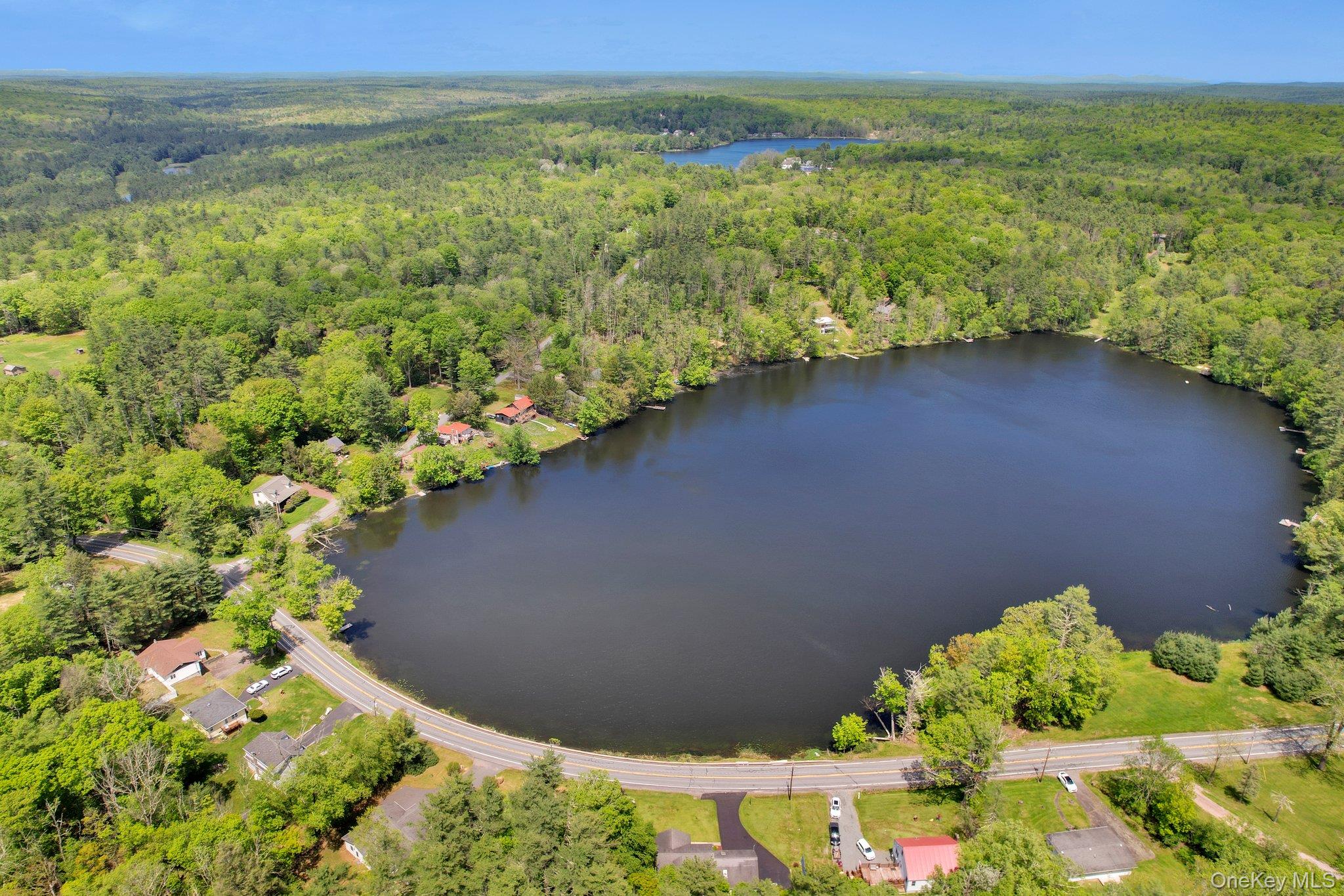 229 Eldred Yulan Road, Yulan, NY 12792