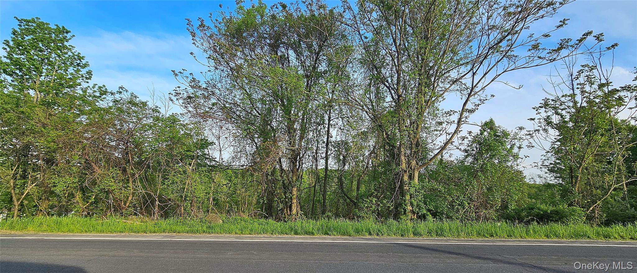 Old Mountain Road, Otisville, NY 10963