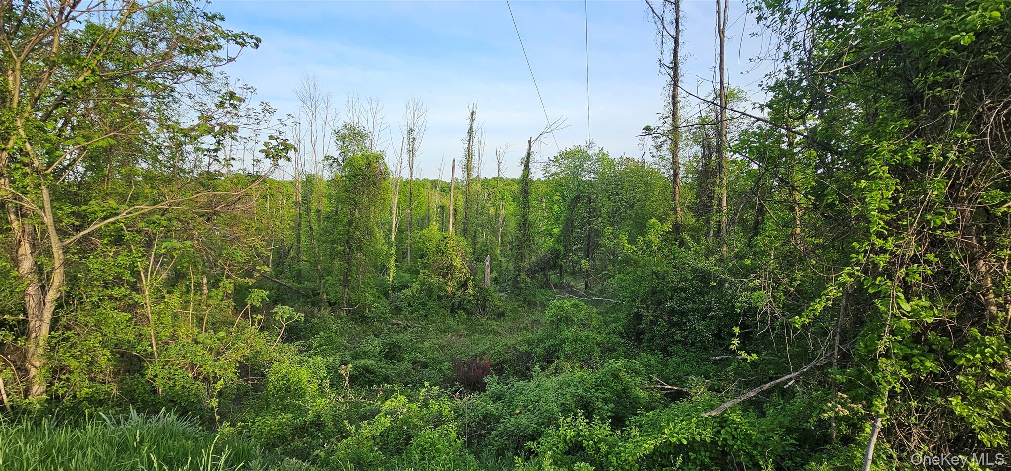 Old Mountain Road, Otisville, NY 10963