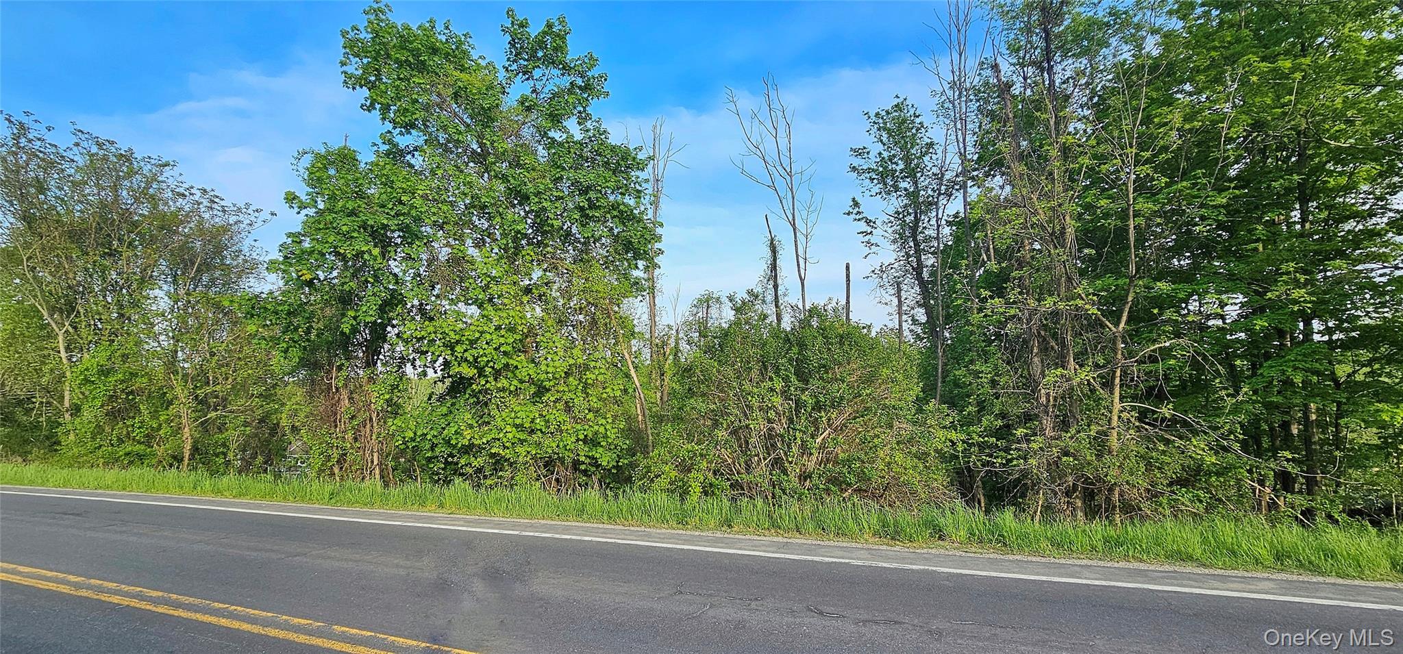 Old Mountain Road, Otisville, NY 10963